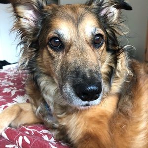 Meet your Posher, Debra